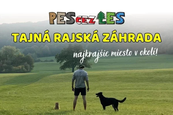 Tajná rajská záhrada
