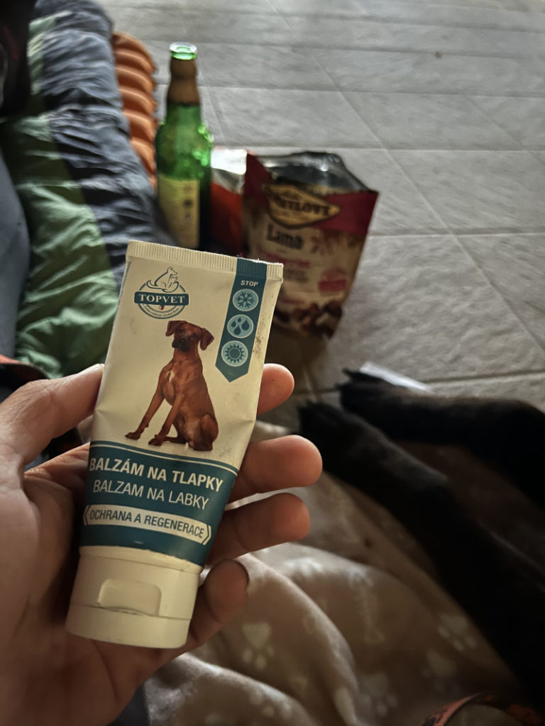 Psí lekárnička – kompletná výbava