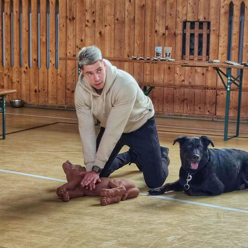 PPPes – Kurz prvej pomoci pre psov