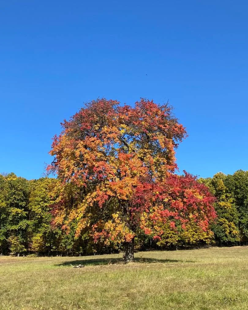 Strom – 24. október 2021