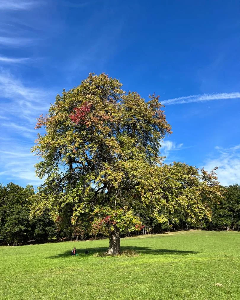 Strom – október 2022