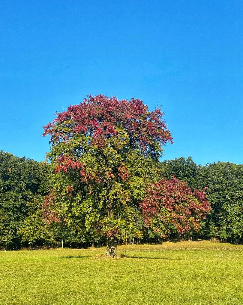 Strom – október 2021