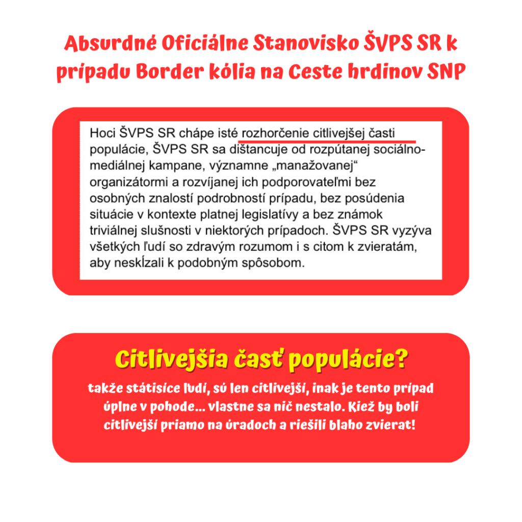 Kauza Fifinka – titulná fotografia