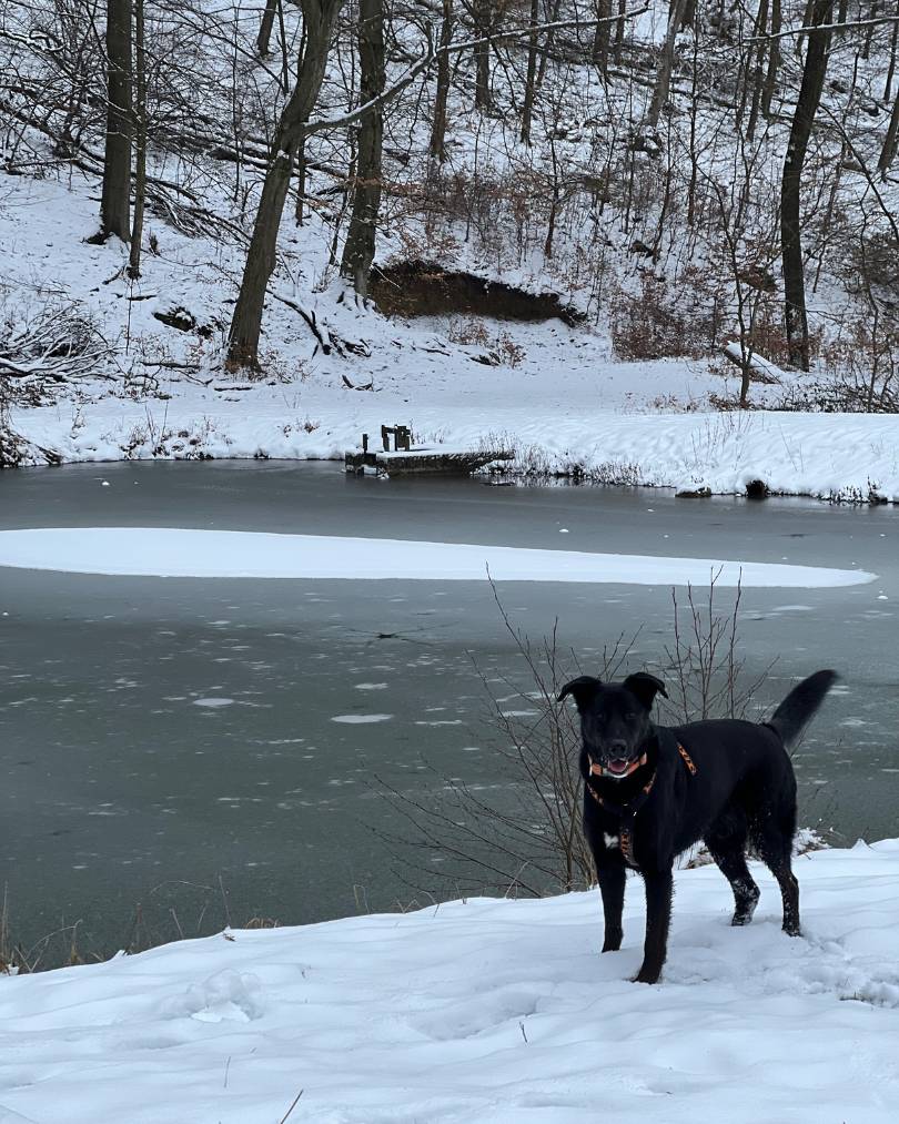 Klzisko na Prekážke