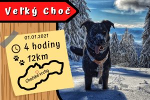 Read more about the article Veľký Choč so psom