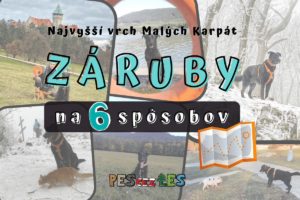Read more about the article Záruby na 6 spôsobov (so psom)