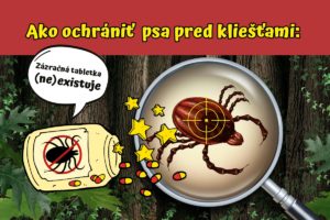 Ako sa ochrániť psa pred kliešťami: Zázračná tabletka (ne)existuje