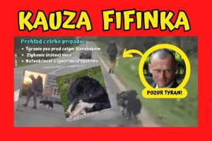Read more about the article KAUZA FIFINKA. Vražedná turistika a zlyhanie štátu