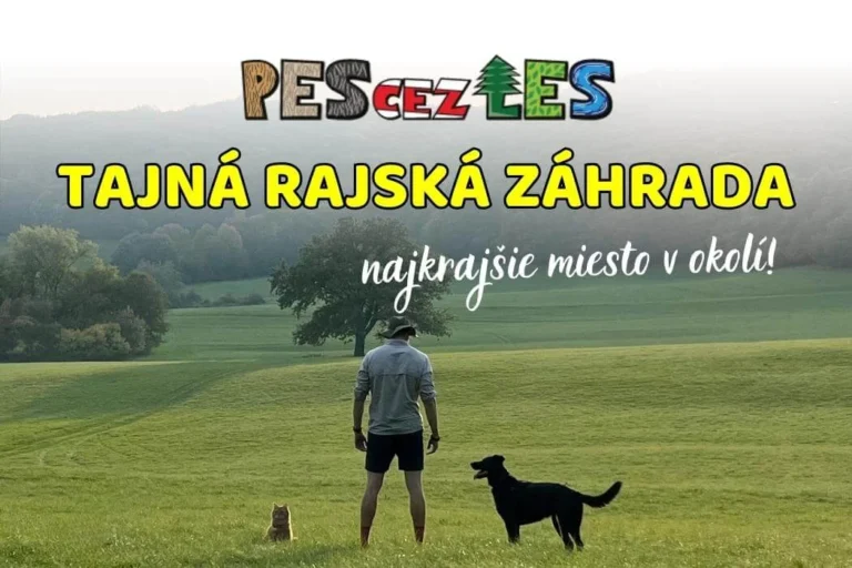 Read more about the article Tajná rajská záhrada (Dobrá Voda)
