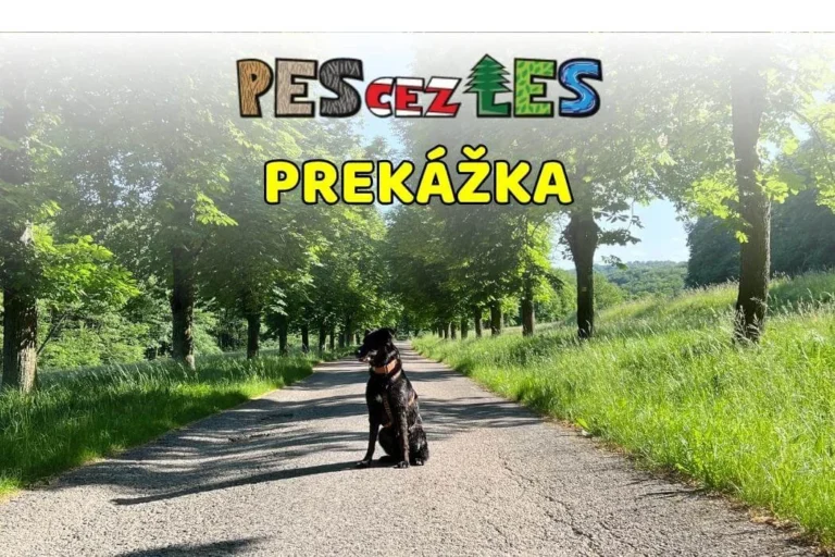 Read more about the article Prekážka (Naháč)